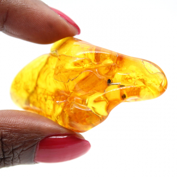 Guijarro de ámbar amarillo, piedra natural de Lituania
