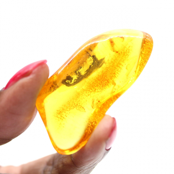 Ámbar amarillo fósil del Báltico: auténtico guijarro