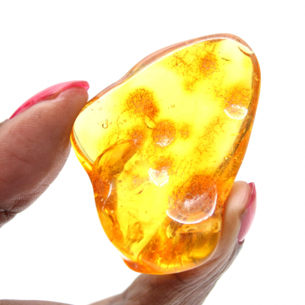 Guijarro de ámbar amarillo, objeto mineral de Lituania – Ejemplar decorativo