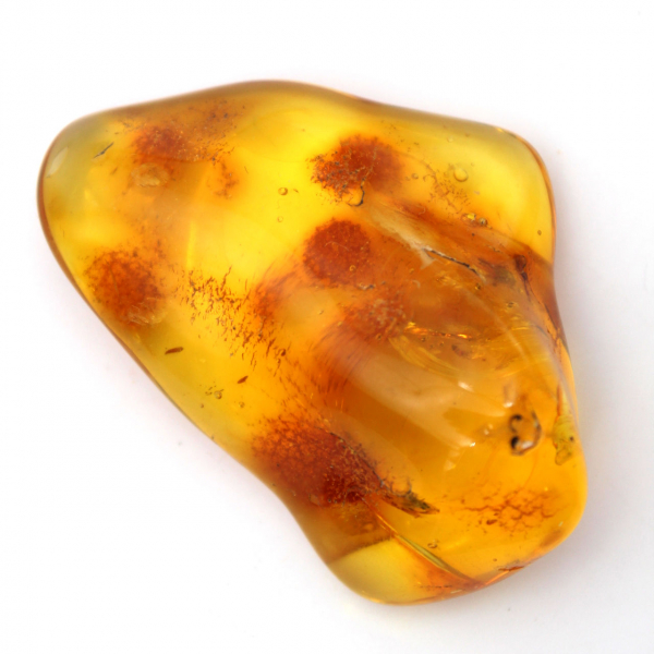Guijarro de ámbar amarillo, objeto mineral de Lituania – Ejemplar decorativo