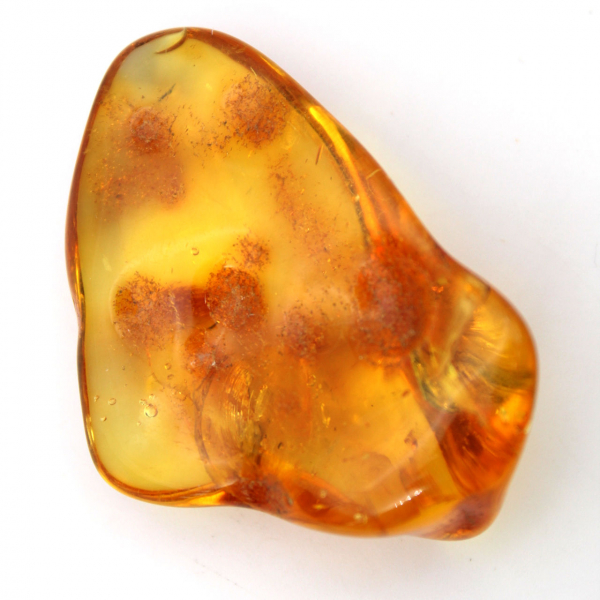 Guijarro de ámbar amarillo, objeto mineral de Lituania – Ejemplar decorativo
