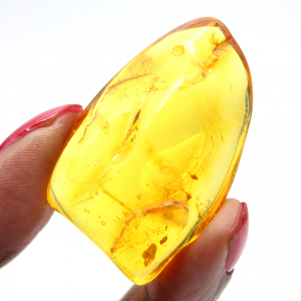 Guijarro de ámbar amarillo – Ejemplar báltico, artículo auténtico