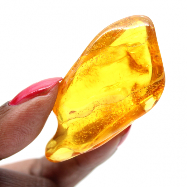 Piedra de ámbar amarillo de Lituania para la recolección de fósiles