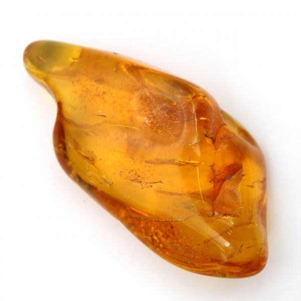 Piedra de ámbar amarillo de Lituania para la recolección de fósiles