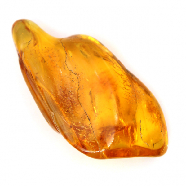 Piedra de ámbar amarillo de Lituania para la recolección de fósiles