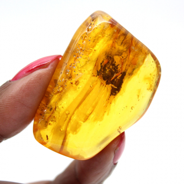 Ámbar báltico: artículo de guijarro de mineralogía