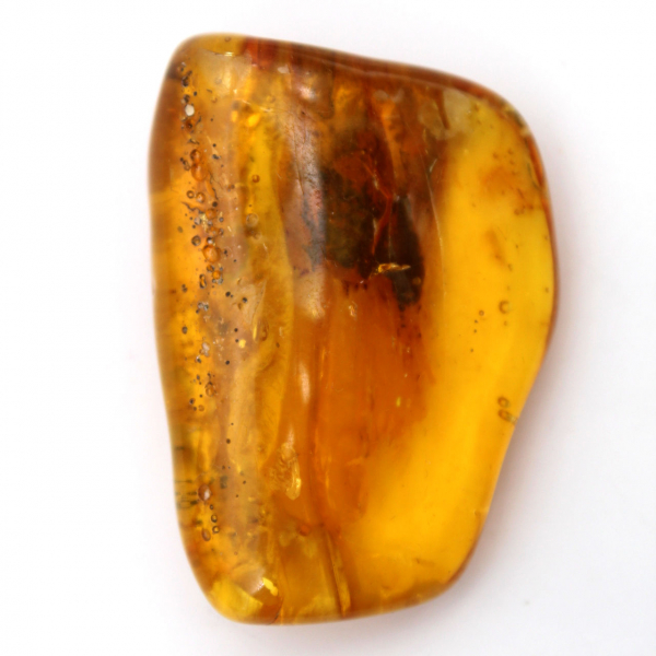 Ámbar báltico: artículo de guijarro de mineralogía