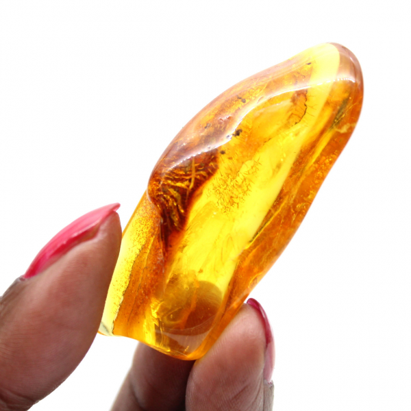 Guijarro de ámbar amarillo pulido: ejemplar de colección de Lituania