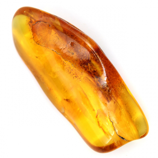 Guijarro de ámbar amarillo pulido: ejemplar de colección de Lituania