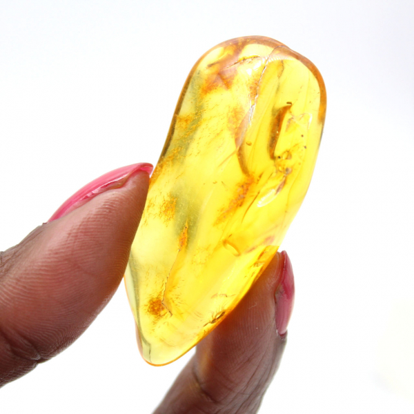 Ámbar amarillo de Lituania: guijarro natural, ejemplar de colección