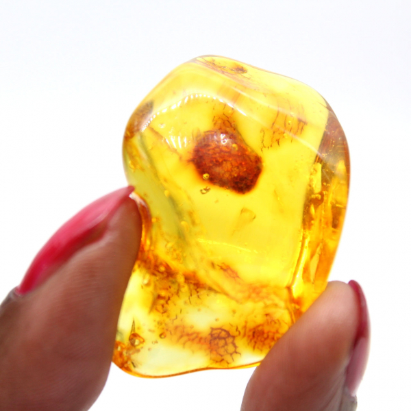 Piedra pequeña de ámbar amarillo – Objeto de colección fósil