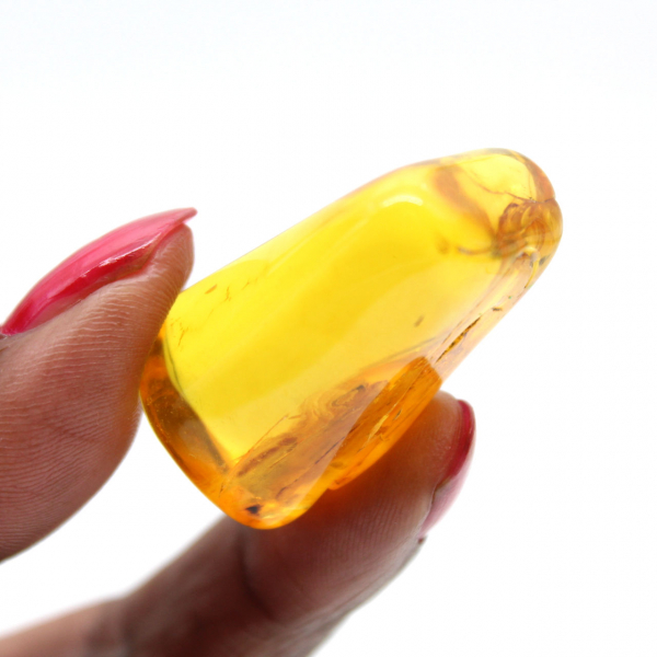 Mini guijarro de ámbar amarillo báltico: fósil para decoración