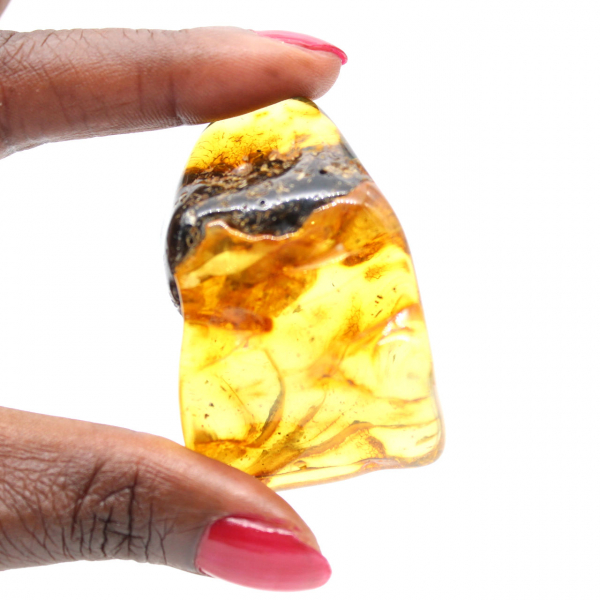 Auténtico guijarro de ámbar pulido de Lituania - Ejemplar de mineralogía