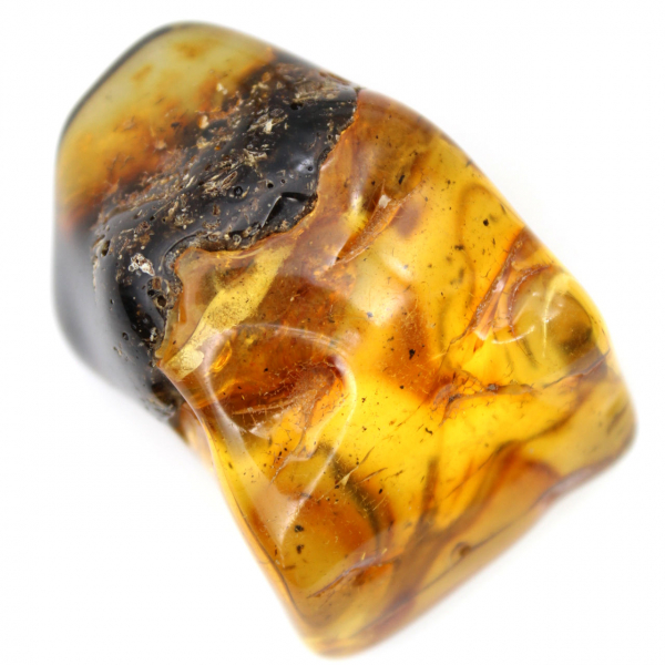 Auténtico guijarro de ámbar pulido de Lituania - Ejemplar de mineralogía