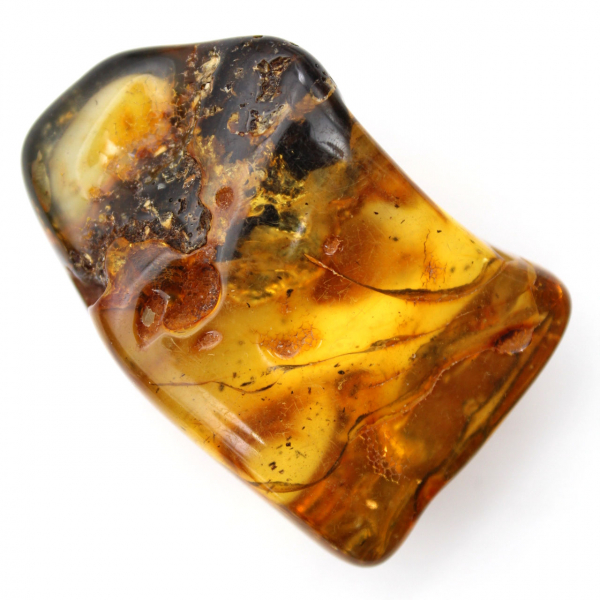 Auténtico guijarro de ámbar pulido de Lituania - Ejemplar de mineralogía