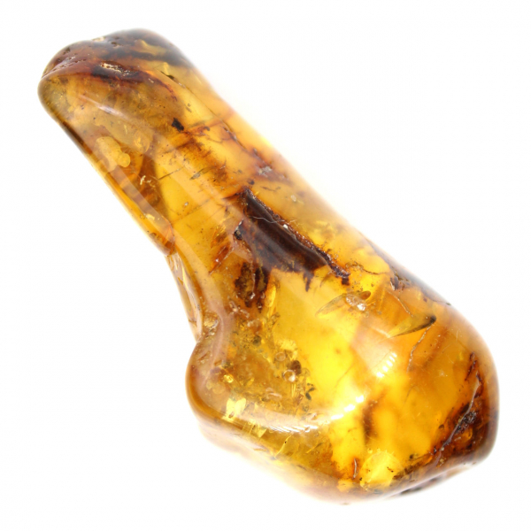 Ejemplar de guijarro de ámbar pulido - Decoración y ciencia geológica