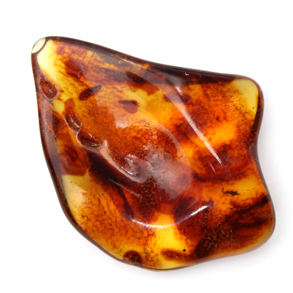 Ámbar lituano pulido: una piedra para la colección de fósiles