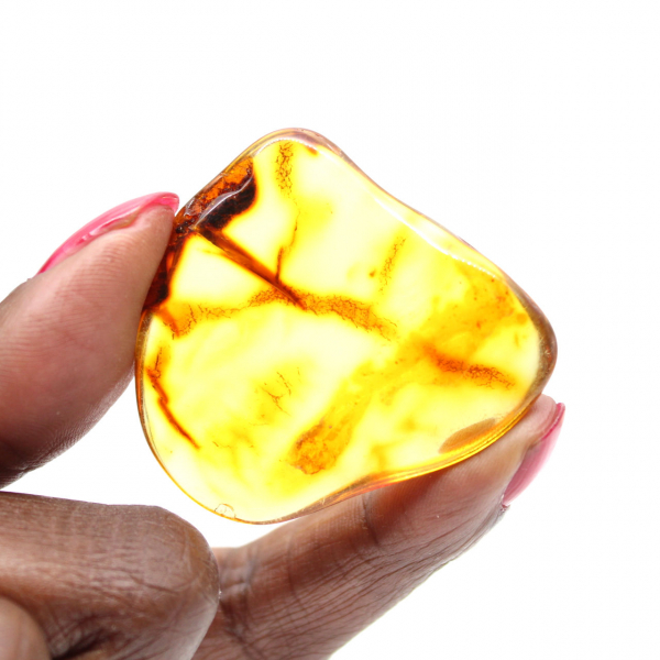 Pequeña piedra de ámbar lituano pulido: autenticidad y ciencia