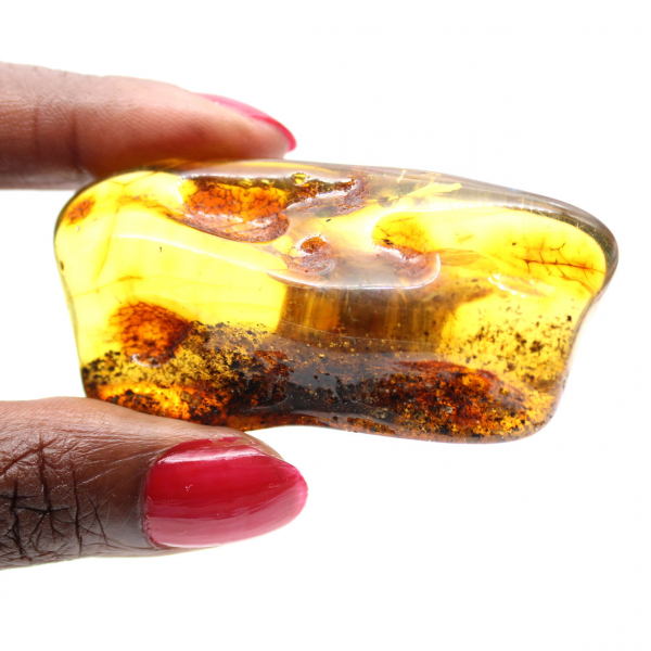 Pequeña piedra de ámbar pulido de Lituania - Colección Mineralógica