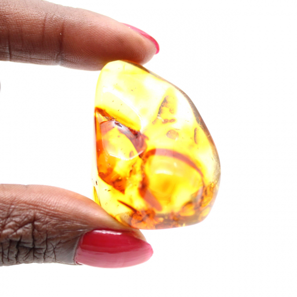 Piedra de ámbar pulida de Lituania: auténtica pieza de colección
