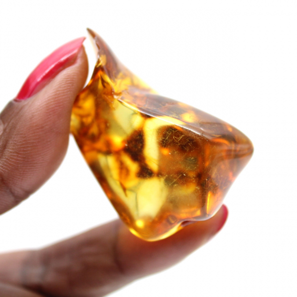 Ámbar lituano pulido - Belleza natural y colección