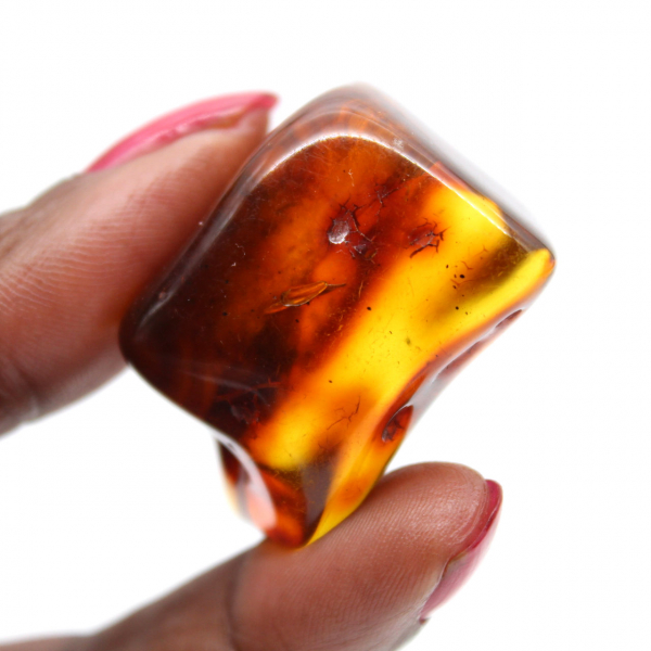 Ejemplar de guijarro de ámbar pulido - Decoración de interiores