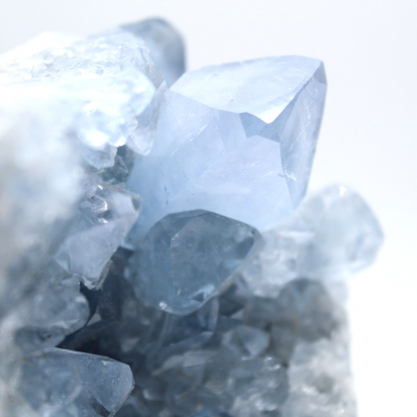 Ejemplar de celestita azul con cristales brillantes.