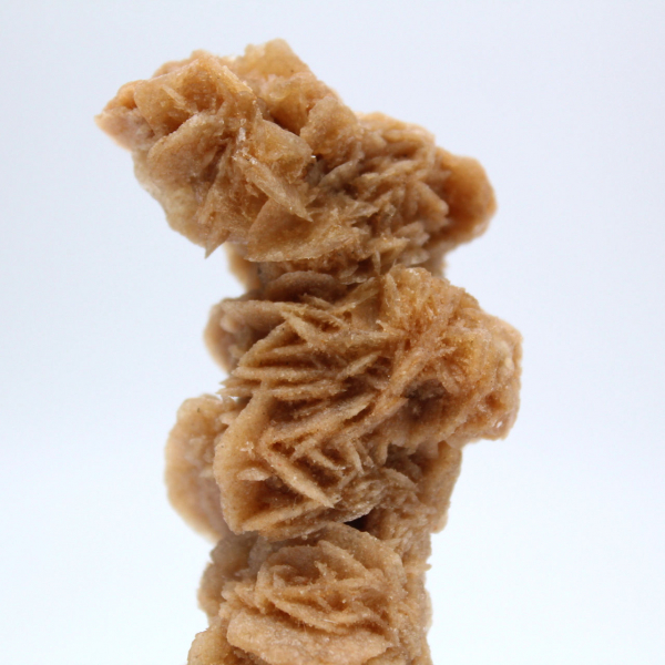 Auténtica rosa de arena mineral
