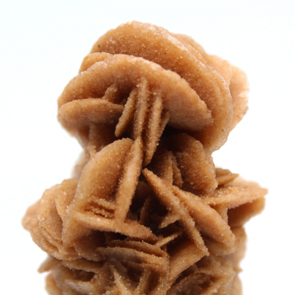 Auténtica rosa de arena cruda de Túnez