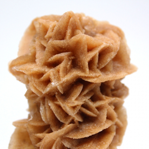 Rosa de arena mineral natural Túnez