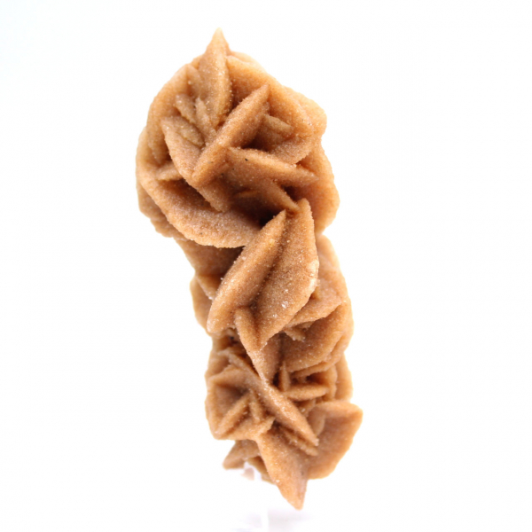 Colección Rose des sables de Túnez
