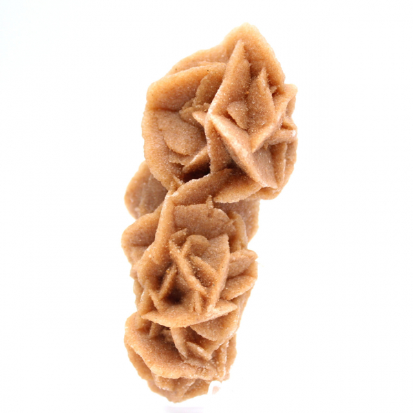 Colección Rose des sables de Túnez