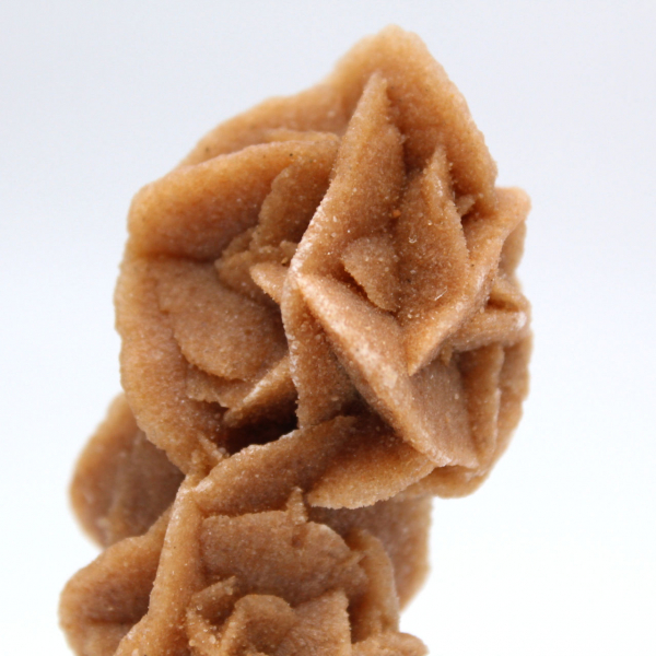 Colección Rose des sables de Túnez