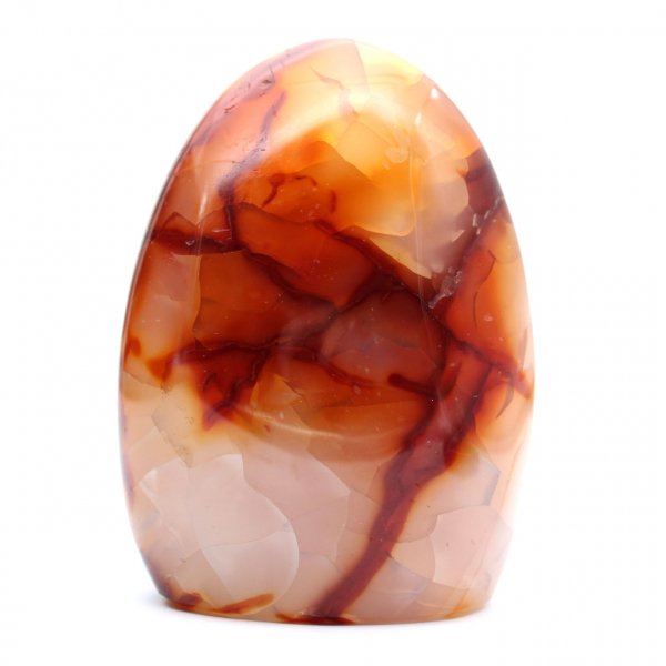 Adorno mediano de cornalina pulida - Piedra natural de Madagascar para decoración