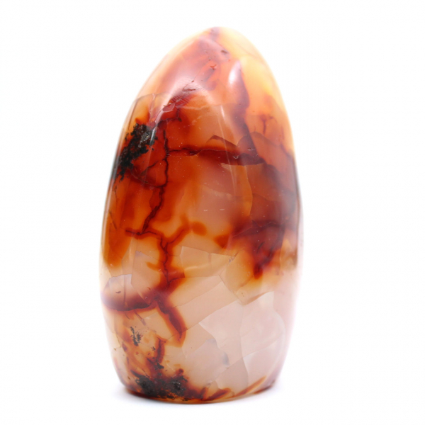 Adorno mediano de cornalina pulida - Piedra natural de Madagascar para decoración