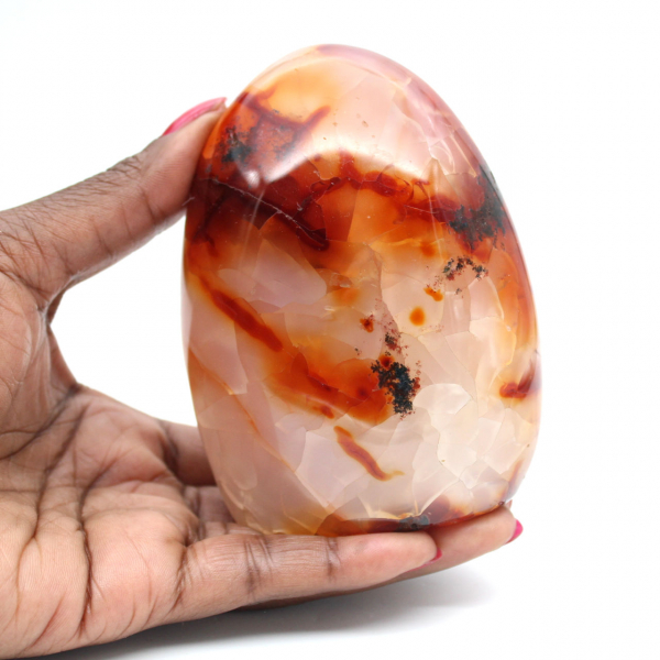 Adorno mediano de cornalina pulida - Piedra natural de Madagascar para decoración