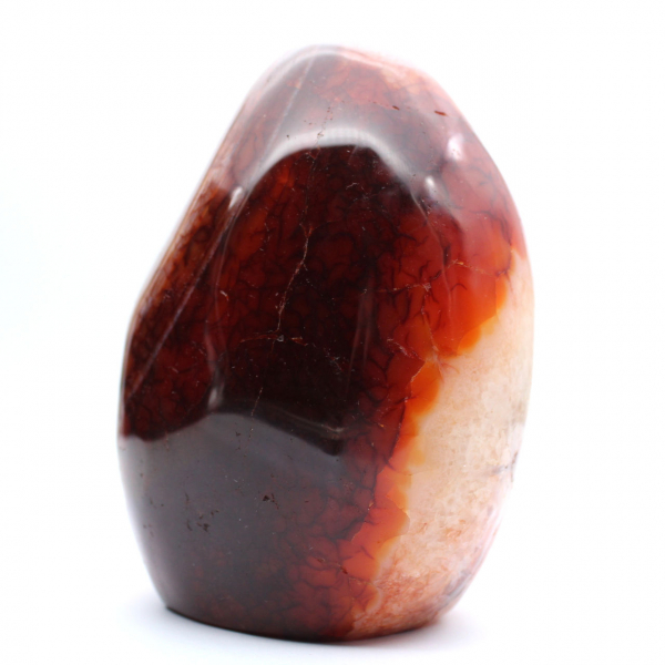Adorno decorativo de cornalina pulida: auténtica piedra natural de Madagascar.