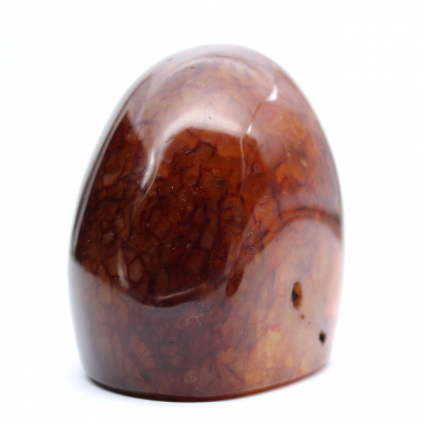 Cornalina pulida genuina para colección y decoración - Adorno de Madagascar