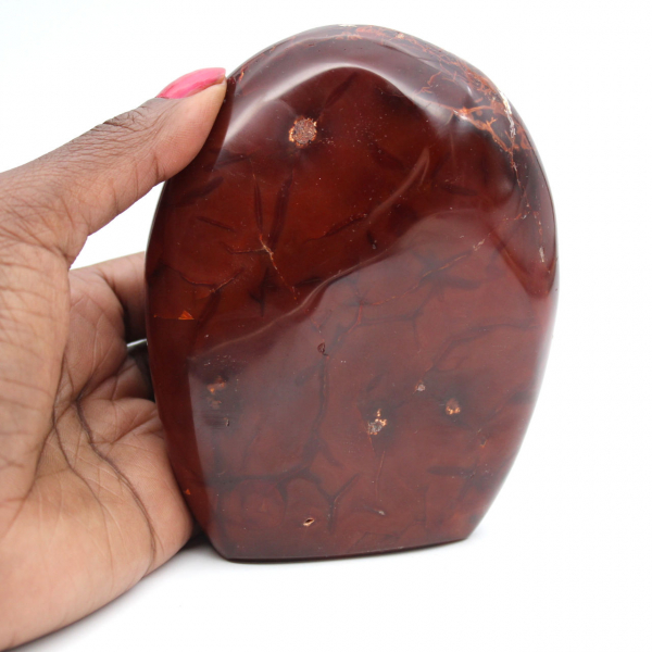 Adorno de cornalina pulida de calidad - Mineral natural coleccionable (Madagascar)
