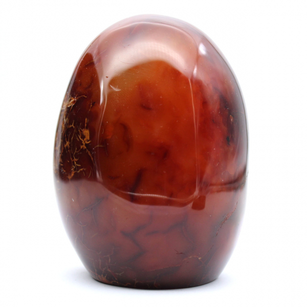 Auténtico adorno de cornalina pulida de Madagascar: mineral decorativo y coleccionable.