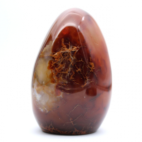 Auténtico adorno de cornalina pulida de Madagascar: mineral decorativo y coleccionable.