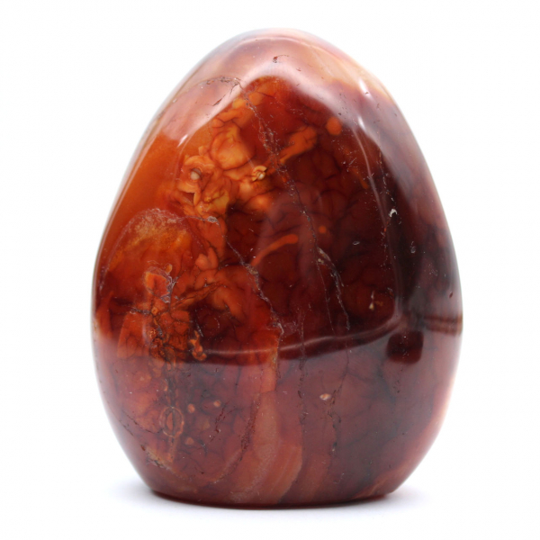 Cornalina de Madagascar pulida: piedra natural ideal para decoración y colección (adorno)