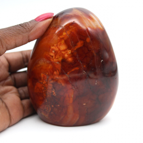 Cornalina de Madagascar pulida: piedra natural ideal para decoración y colección (adorno)