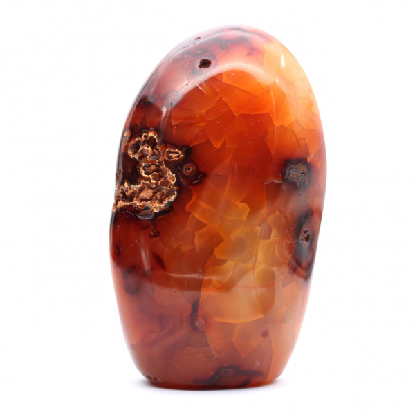 Cornalina de Madagascar pulida: ejemplar decorativo y científico (piedra natural)