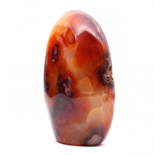 Cornalina de Madagascar pulida: ejemplar decorativo y científico (piedra natural)