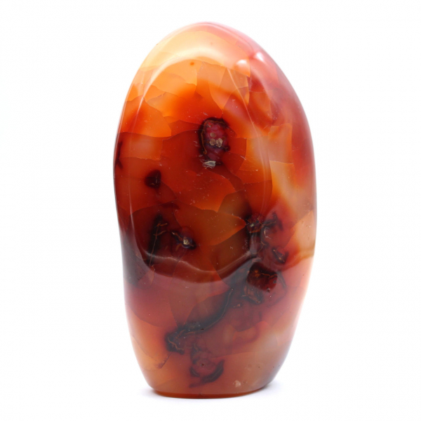 Cornalina de Madagascar pulida: ejemplar decorativo y científico (piedra natural)
