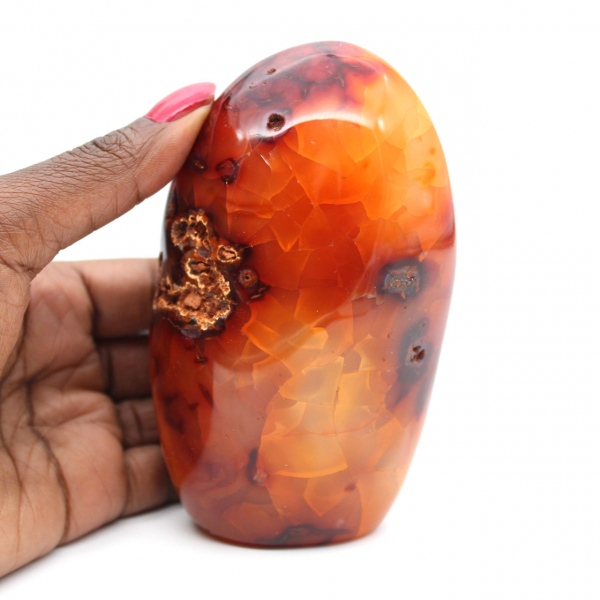 Cornalina de Madagascar pulida: ejemplar decorativo y científico (piedra natural)