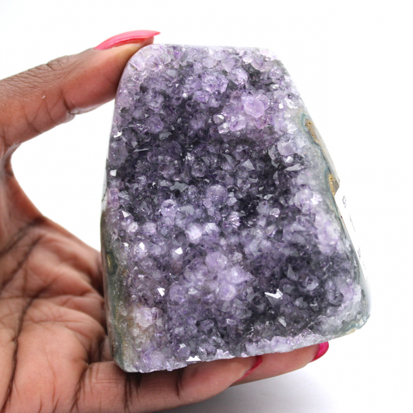 Amatista Brasil: Pequeña geoda para colección de minerales
