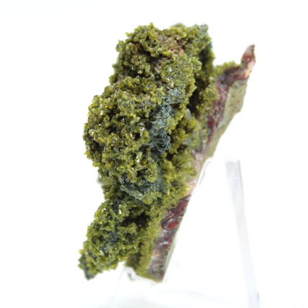 Epidota marroquí sobre matriz transparente