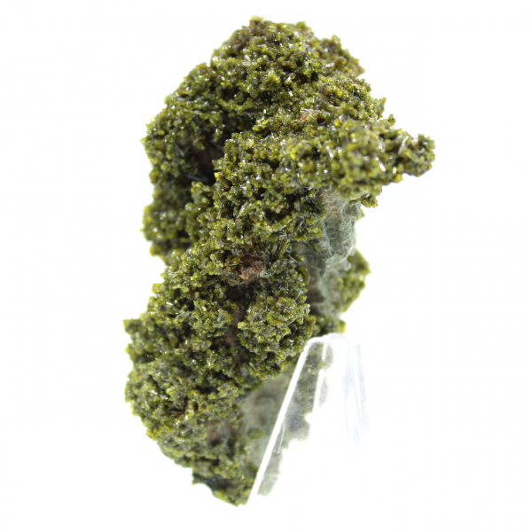 Cristales de epidota de Marruecos sobre matriz beige